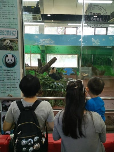 One Day Trip @ Guangzhou Zoo
