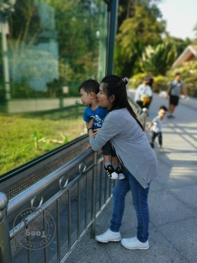 One Day Trip @ Guangzhou Zoo