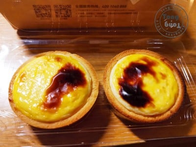 One Day Trip @ Guangzhou Zoo