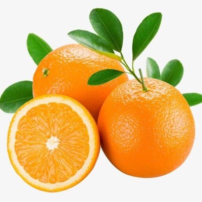 MENU_388991Ji_1579663522