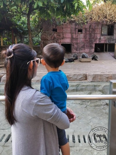 One Day Trip @ Guangzhou Zoo