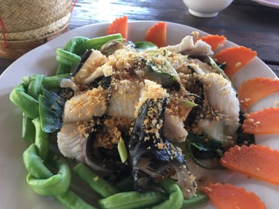 ปลาคังลวก