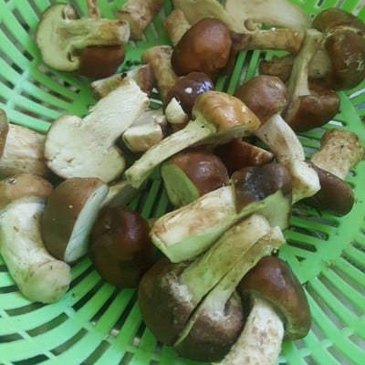 วิธีทำ เห็ดหอมทอดซีอิ๊ว