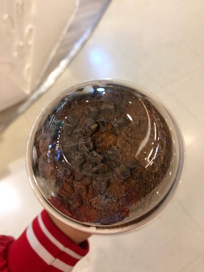 แรปเตอร์