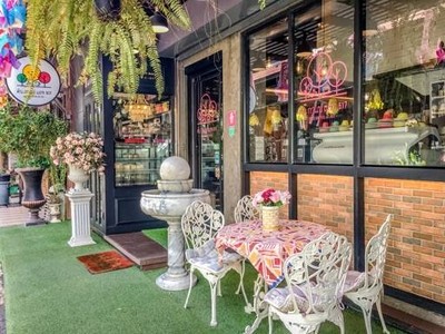 ต้น กาแฟ แอท 517 (Tree Coffee At 517) ต้น กาแฟ แอท 517 (Tree Coffee At 517)