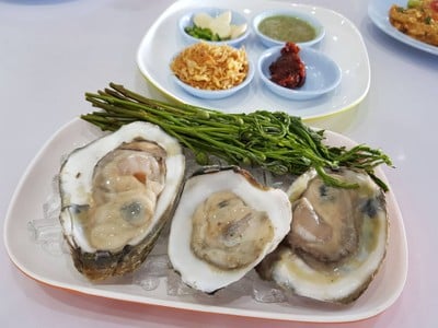 หอยนางรม