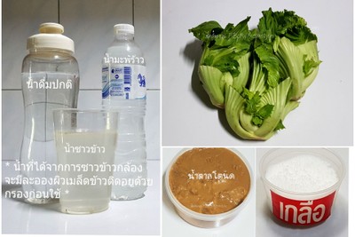 วิธีทำ ผักกาดดอง ( ซึงไฉ่ 酸 菜 ) วิธีทำ ผักกาดดอง ( ซึงไฉ่ 酸 菜 )