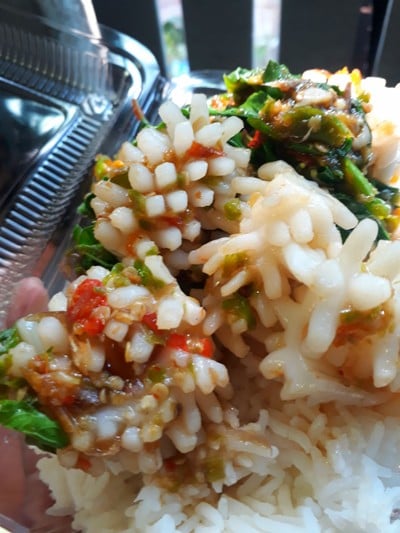 ปลาหมึกผัดเพา