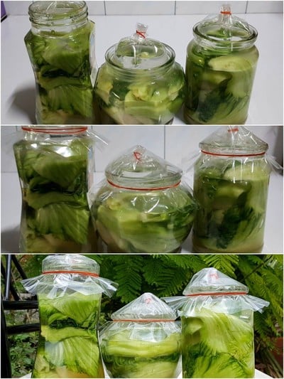 วิธีทำ ผักกาดดอง ( ซึงไฉ่ 酸 菜 ) วิธีทำ ผักกาดดอง ( ซึงไฉ่ 酸 菜 )