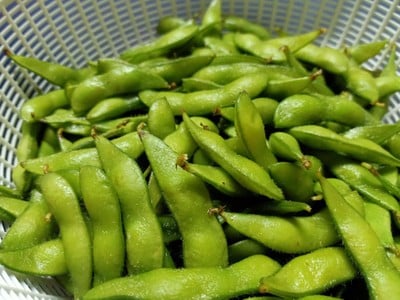 วิธีทำ ถั่วแระญี่ปุ่น วิธีทำ ถั่วแระญี่ปุ่น