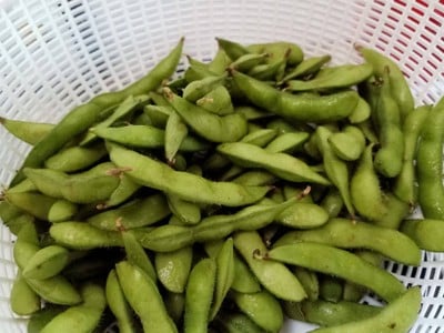 วิธีทำ ถั่วแระญี่ปุ่น วิธีทำ ถั่วแระญี่ปุ่น