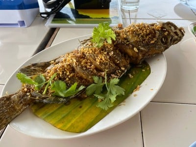 ร้านอาหาร ประมงทิพย์ เขาสามมุข