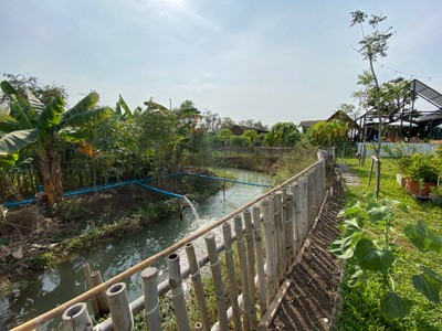 ทริปเที่ยวเบาๆ ในอยุธยา-สระบุรีแบบ One Day Trip