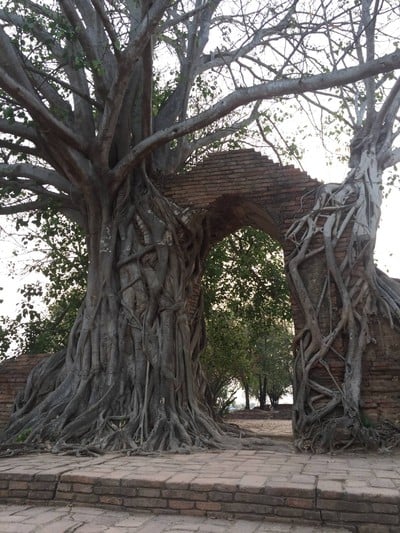 อุโมงค์แห่งกาลเวลา