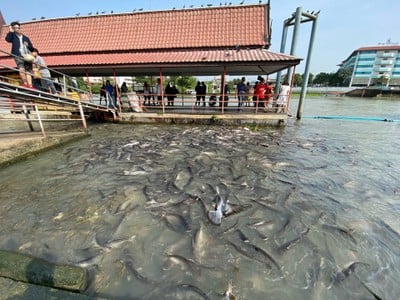 ทริปเที่ยวเบาๆ ในอยุธยา-สระบุรีแบบ One Day Trip