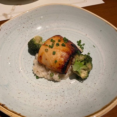 SNOW FISH