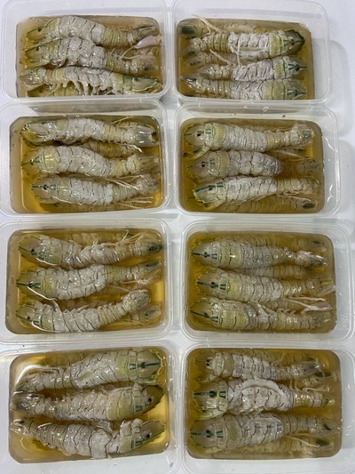 🦞กั้งแก้วดองน้ำปลา🦞