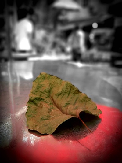 ทานอาหารใต้ต้นโพธิ์ ดูใบก็รู้