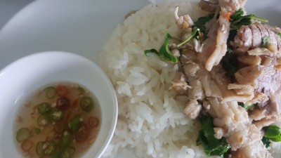 ข้าวกระเพรากั้ง