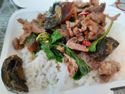 ข้าวราดกะเพราเนื้อชิ้นใส่ไข่เยี่ยวม้า