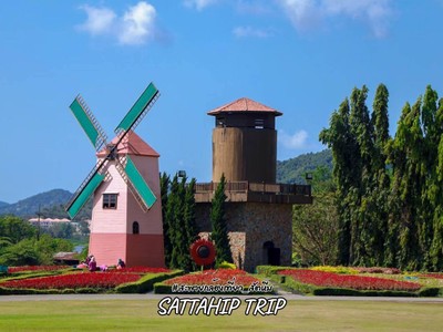 ดำน้ำแสมสาร เที่ยวสัตหีบ 3 วัน 2 คืน ไม่ไปไม่ได้แล้ว