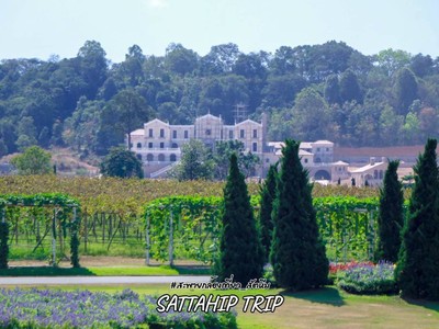 ดำน้ำแสมสาร เที่ยวสัตหีบ 3 วัน 2 คืน ไม่ไปไม่ได้แล้ว