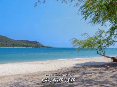 ดำน้ำแสมสาร เที่ยวสัตหีบ 3 วัน 2 คืน ไม่ไปไม่ได้แล้ว