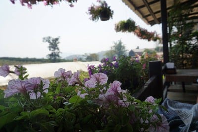 บรรยากาศ