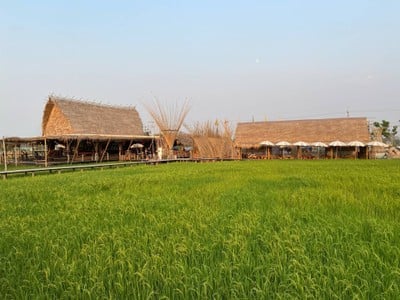 รักษ์นาคาเฟ่