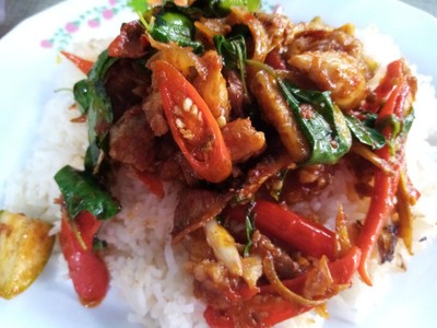พริกแกงหมูป่า