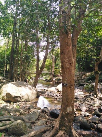 บรรยากาศ
