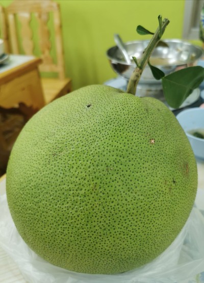 ส้มโอขาวใหญ่