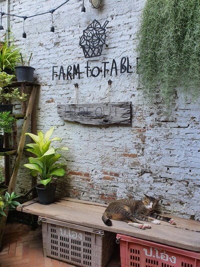 หน้าร้าน