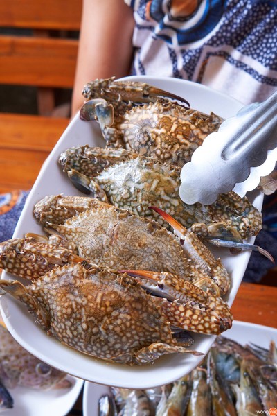 ปูม้า