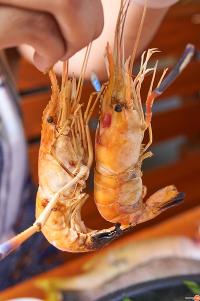 กุ้งแม่น้ำ