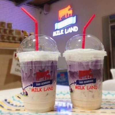 Thai-Denmark Milk Land ม.เกษตร ศรีราชา Thai-Denmark Milk Land ม.เกษตร ศรีราชา