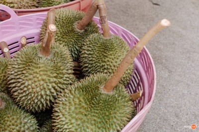 เมนูของร้าน เจ๊นิด