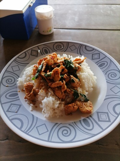 ข้าวกระเพราไก่