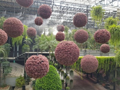 บรรยากาศ