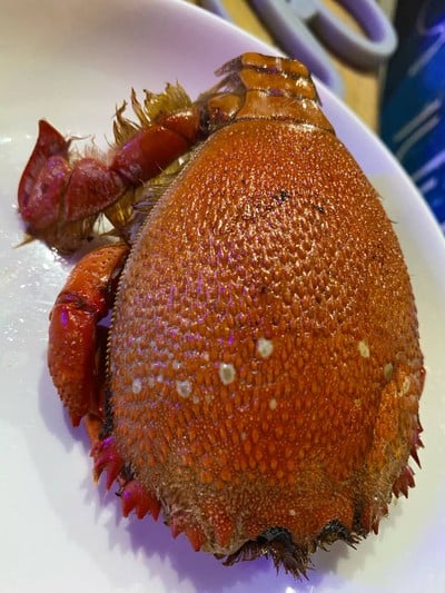 ปูจักจั่น