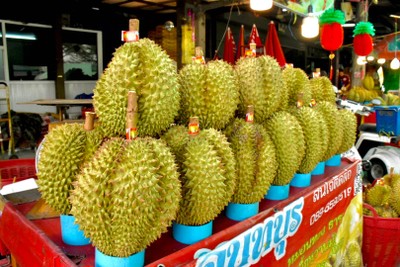 ทุเรียนหมอนทองจากสวน  1 ลูกจะมีน้ำหนักขั้นต่ำ 2.5 กิโล