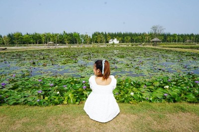 Dubua cafe - ดูบัวคาเฟ่ บนพื้นที่ 50 กว่าไร่