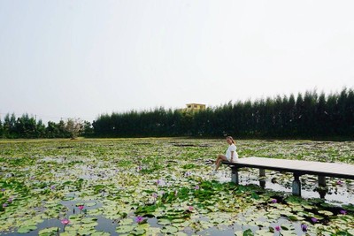 Dubua cafe - ดูบัวคาเฟ่ บนพื้นที่ 50 กว่าไร่