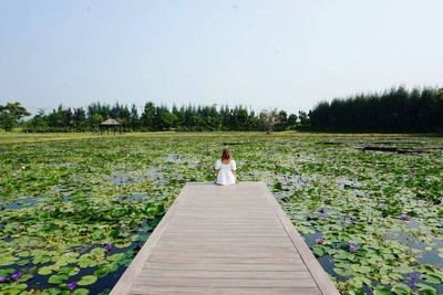 Dubua cafe - ดูบัวคาเฟ่ บนพื้นที่ 50 กว่าไร่