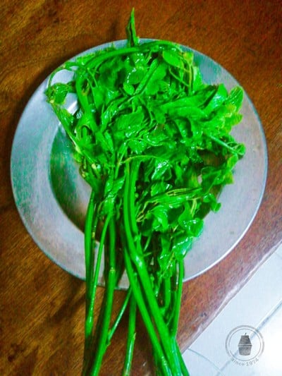 วิธีทำ ต้มผักให้อร่อย