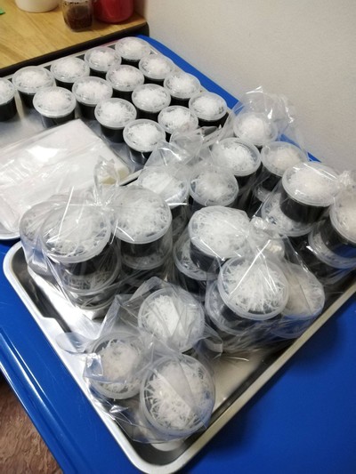 ออเดอร์เปียกปูนกาบมะพร้าว