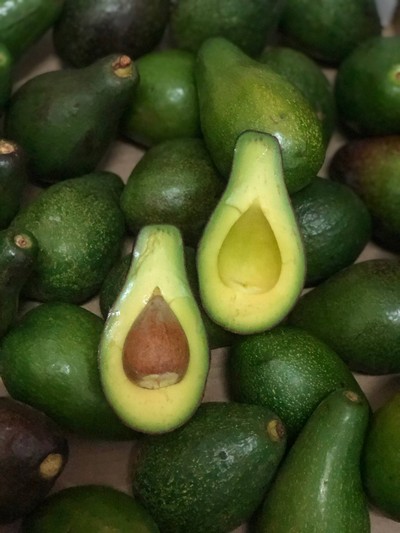 อโวคาโด้