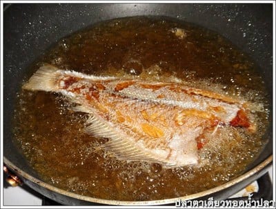วิธีทำ ปลาตาเดียวทอดราดน้ำปลา