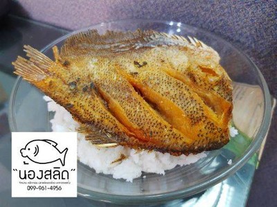 รูปโปรไฟล์