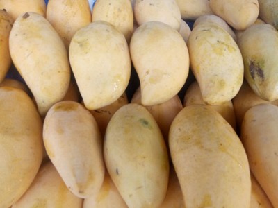 มะม่วงน้ำดอกไม้